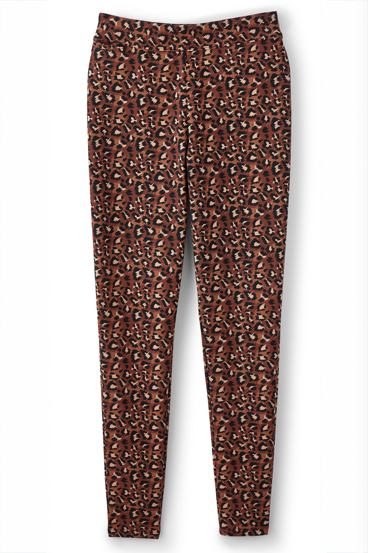 2fy74__chocolate-leopard_1