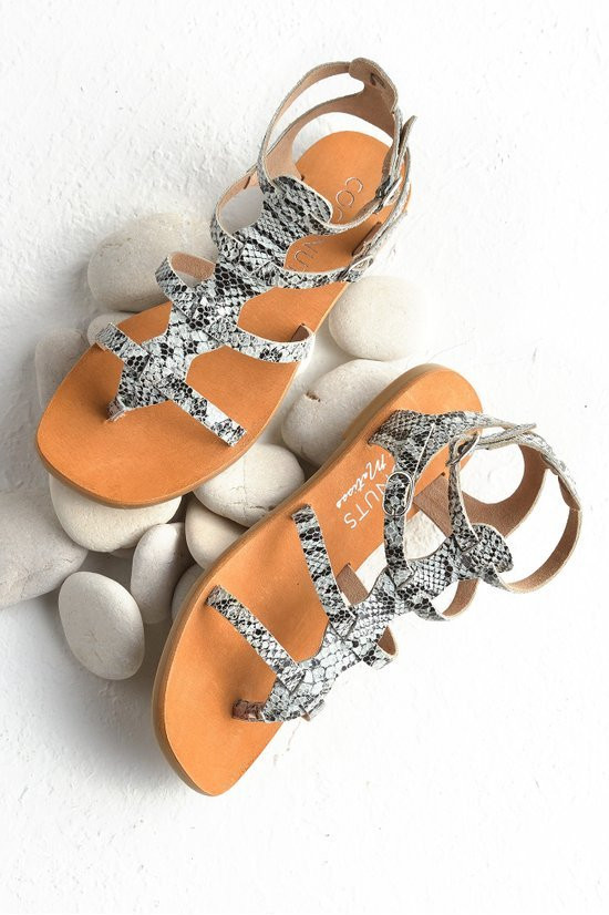 1cm15__blackwhite-snake_2