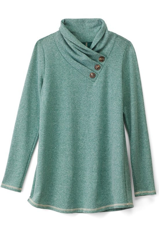 2cv81__evergreen-forest_1