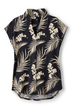 2ec51__brazilian-palm-small_1