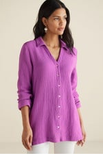 2fj10__iris-orchid_0