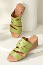 1dm60__green_1