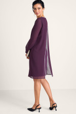 2hj19__eggplant_2