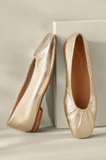 1dd80__platinum-metallic_1