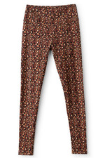 2fr05__chocolate-leopard_1