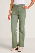 2fy34__dusty-olive_2