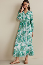 2gf71__green-tropical-palm_0