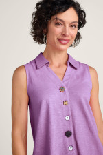 2ca06__african-violet_5