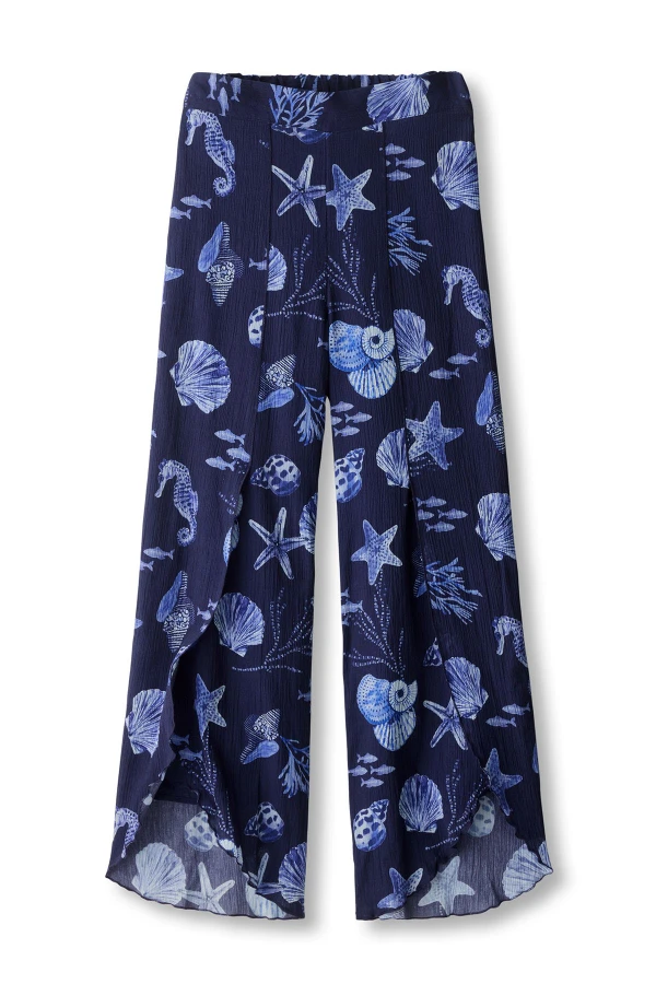 2fd36__navy-seashells_1