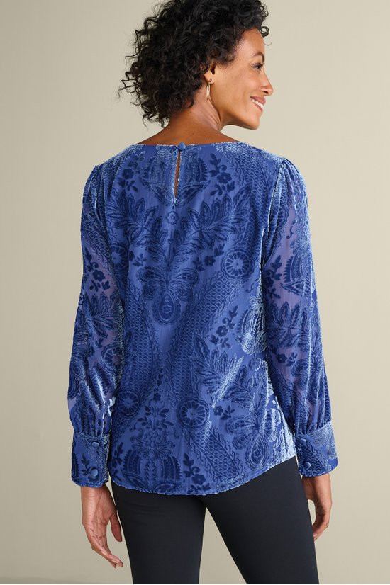 Vanetta Velvet Top