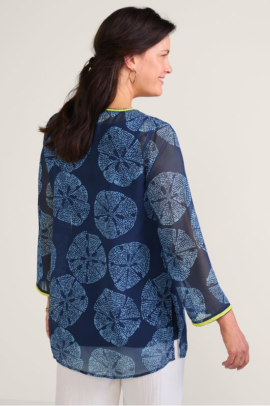 2gw90__blue-sand-dollar_3