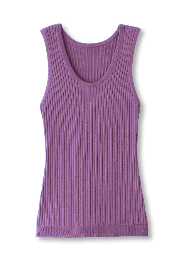 2hc36__african-violet_1