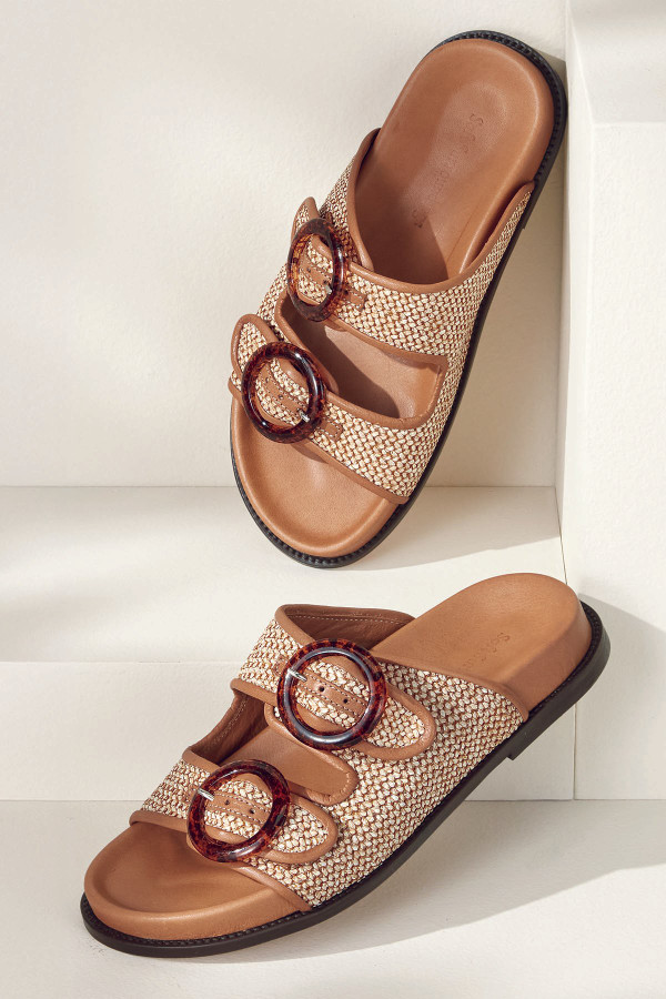 1dm64__brown_0