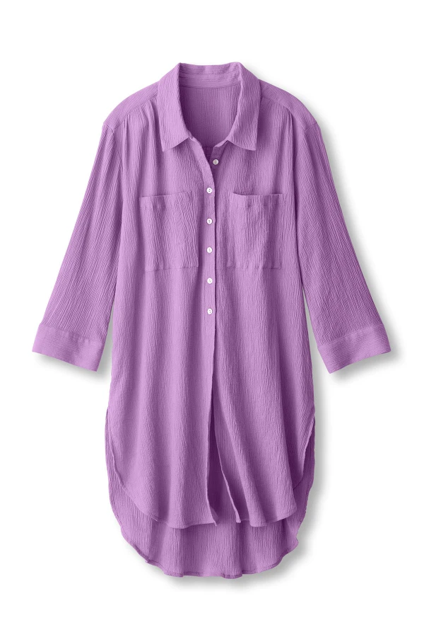 2hf27__african-violet_1