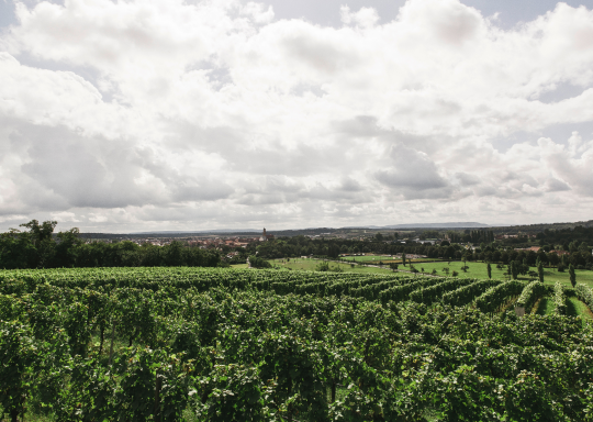 Farm