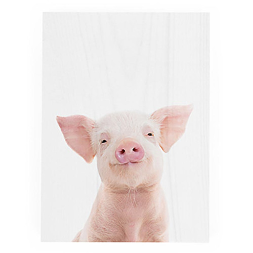 Featured Artist Decorative Block - Piglet