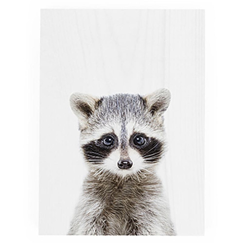Featured Artist Decorative Block - Racoon