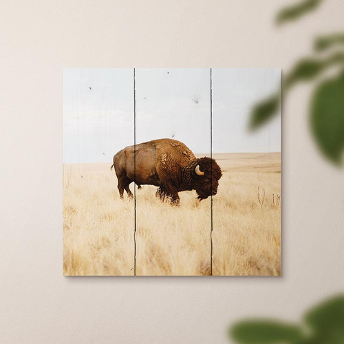 Lake & Lodge Collection Pallet Sign - Buffalo