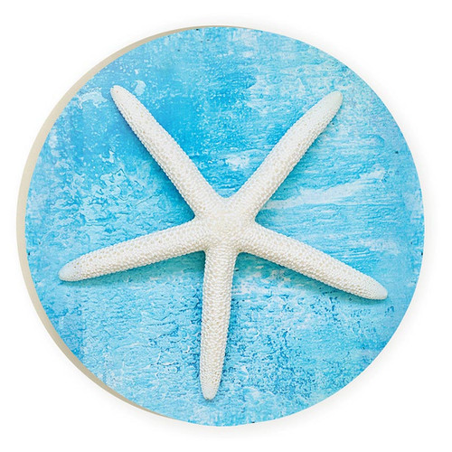 Coastal Collection Car Coaster (Retail Pack) - Starfish