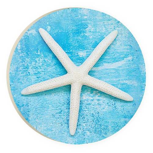 Coastal Collection Car Coasters - Starfish