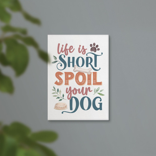 Canvas - Life Is Short