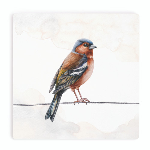 Ceramic Coasters - Oriole