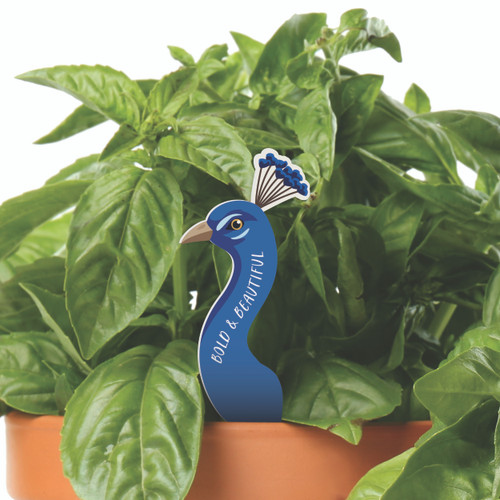 Plant Pals - Bold And