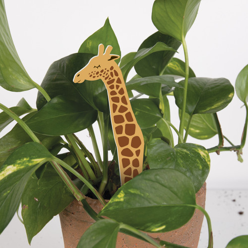 Plant Pals - Giraffe