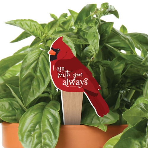 Plant Pals - I Am With You Always