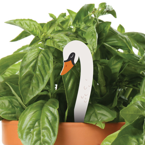 Plant Pals - Swan
