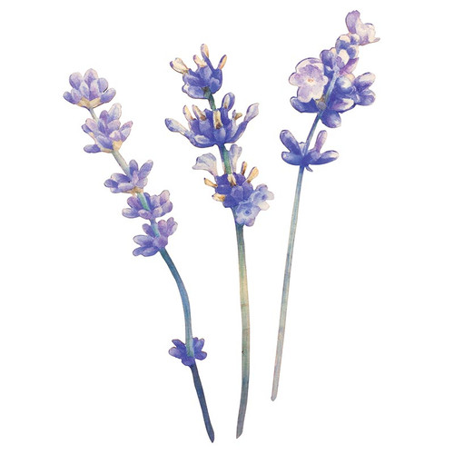 Let Kindness In Collection Wood Flowers