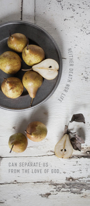 Greeting Card - Sympathy -  Neither Death Nor Life