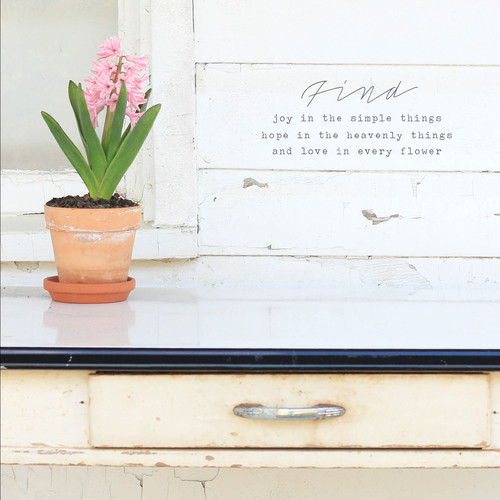 Greeting Card - Birthday - Find Joy