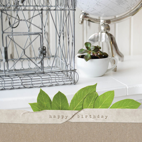 Greeting Card - Birthday - Blossom