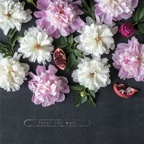 Greeting Card - Encouragement - Pretty In Pink