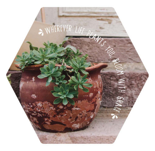 Magnet - Wherever Life Plants You