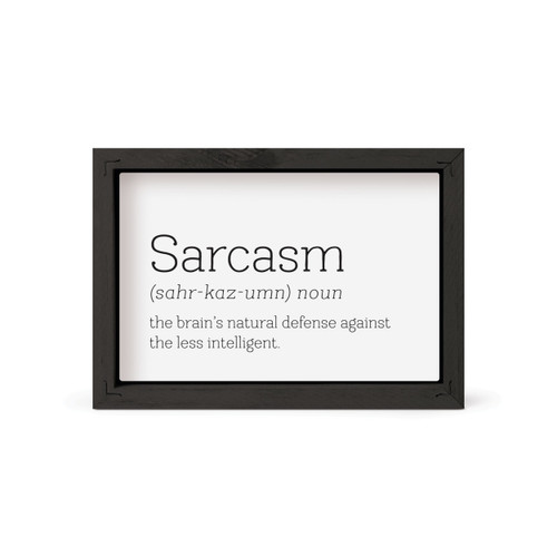 Framed Art - Sarcasm (noun)