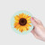 Switcheroos Magnetic Swappable Discs - Sunflower