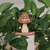Grow Your Own Way 