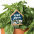 Plant Pals - Home Grown