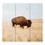 Lake & Lodge Collection Pallet Sign - Buffalo