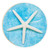 Coastal Collection Car Coaster (Retail Pack) - Starfish
