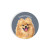 Ceramic Car Coaster - Pomeranian