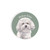 Car Coaster - Bichon