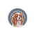 Car Coaster - Cavalier King Charles Spaniel
