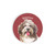 Car Coaster - Havanese