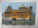 The Golden Temple Amritsar Greeting Cards