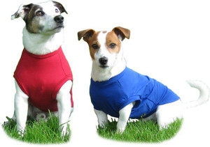 HOTTERdog dog body t-shirt by Equafleece, can be used for allergies, sunburn, to cover post-operative dressings and similar to a Thunder Shirt for anxiety HOTTERdog dog body t-shirt by Equafleece, can be used for allergies, sunburn, to cover post-operative dressings and similar to a Thunder Shirt for anxiety
