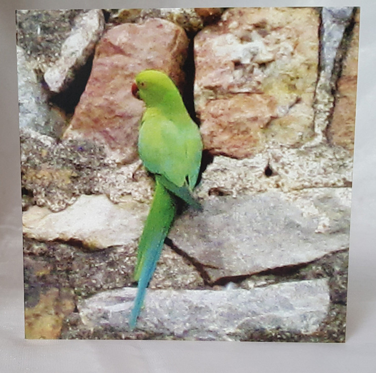 Green Bird Greeting Cards