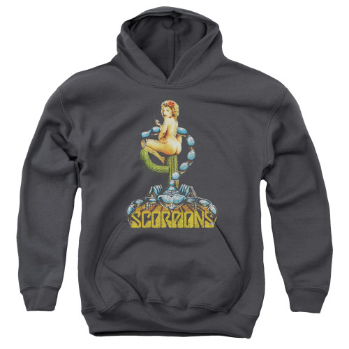 Scorpions Saguaro Blossom Youth Pullover Hoodie Sweatshirt Charcoal